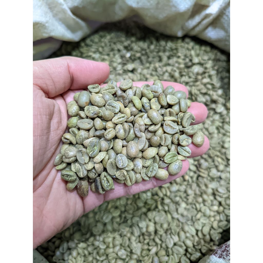 

Kopi Green Bean Arabica Bromo Petik Merah 1Kg Sortir