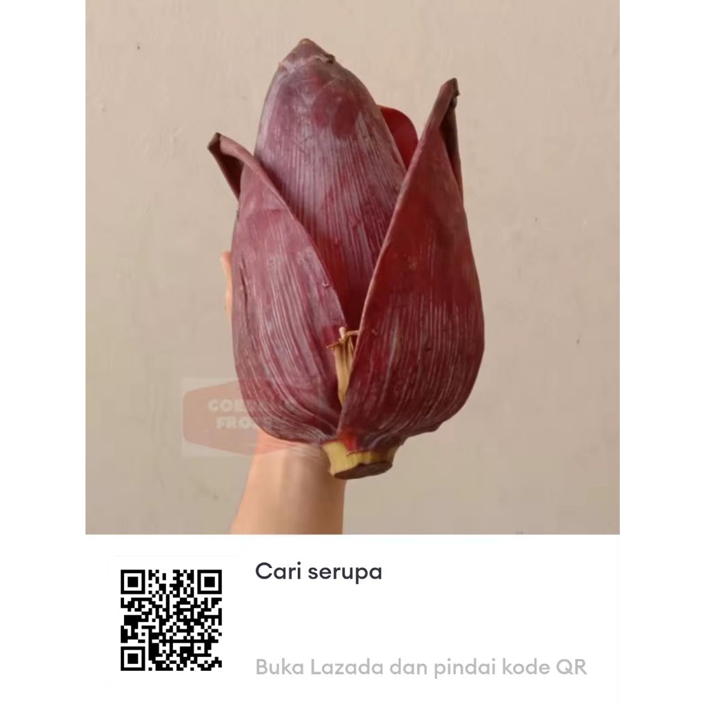 

jantung pisang per biji berat 500gram