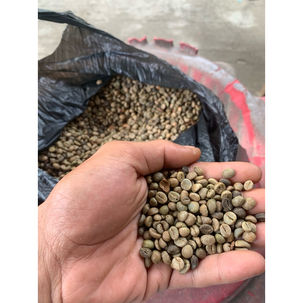 

biji Kopi Robusta 500 Gram Sumatra Barat. cocok cofee shop
