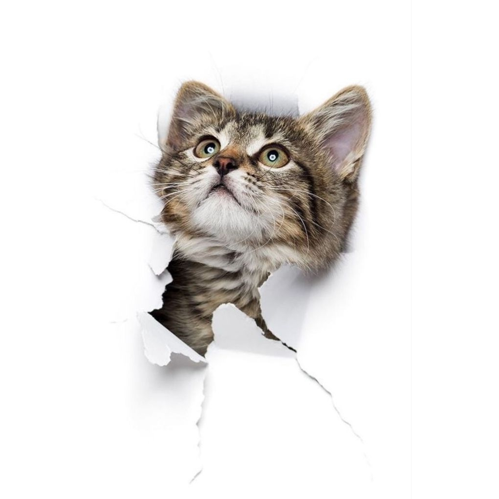 

stiker 3D kucing lucu, stiker print sudah cutting, size 15 x 20 cm, anti air