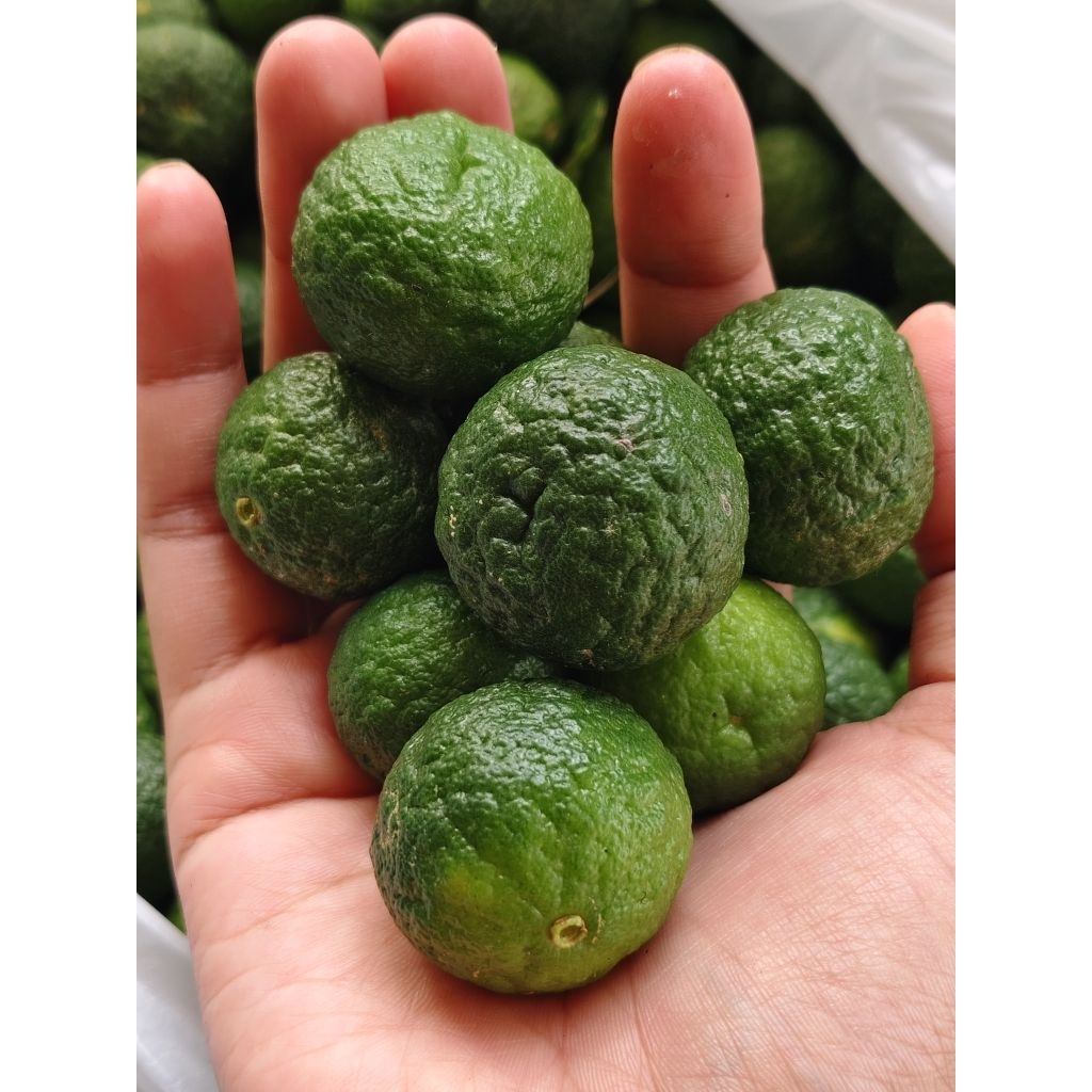 

Jeruk Limau atau Jeruk Sambal Fresh 500gram