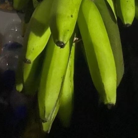 

Buah Pisang Mentah LM Pisang Bangkaulu