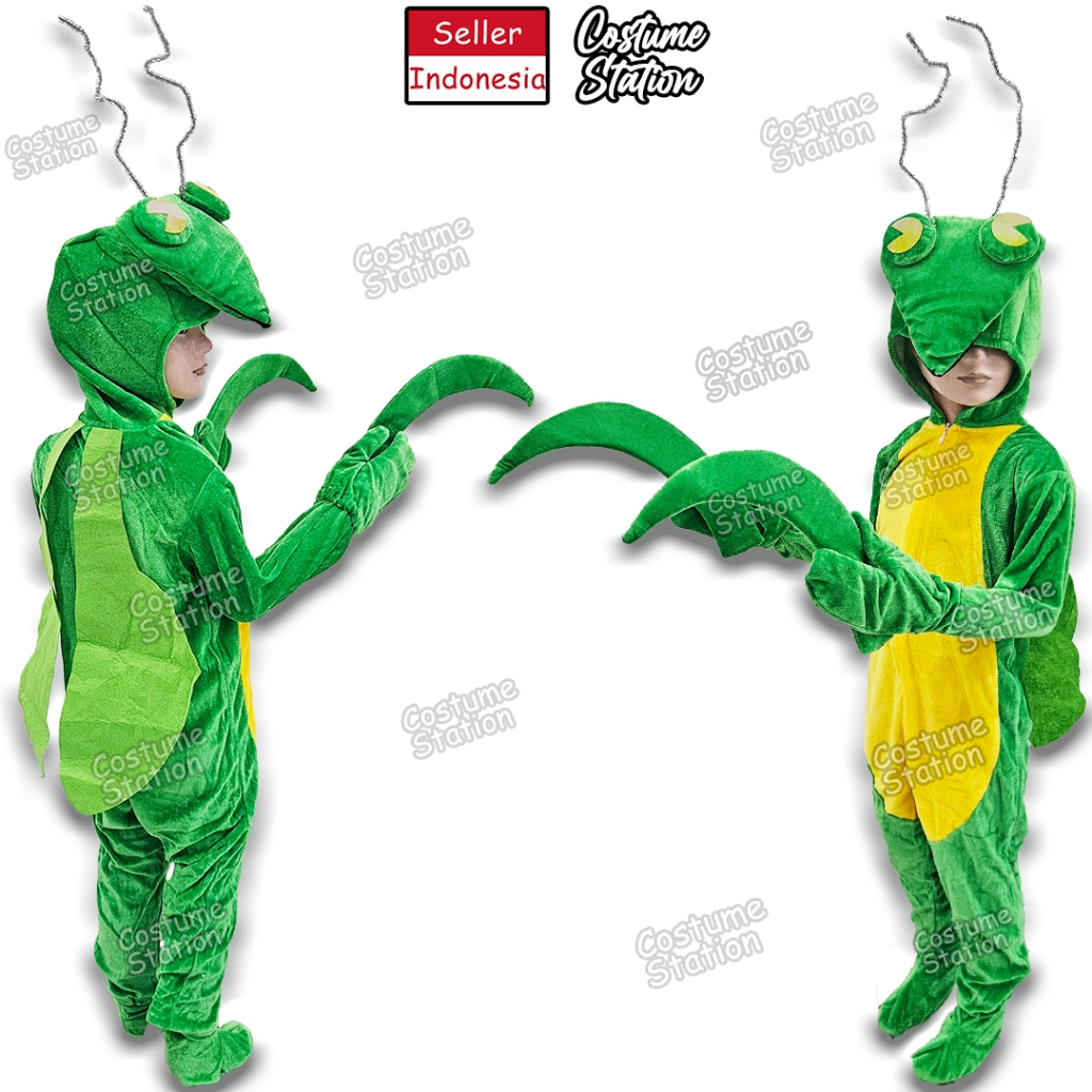 Kostum Onesie Praying Mantis / Costume Belalang Sembah Serangga Hewan Binatang Animal anak