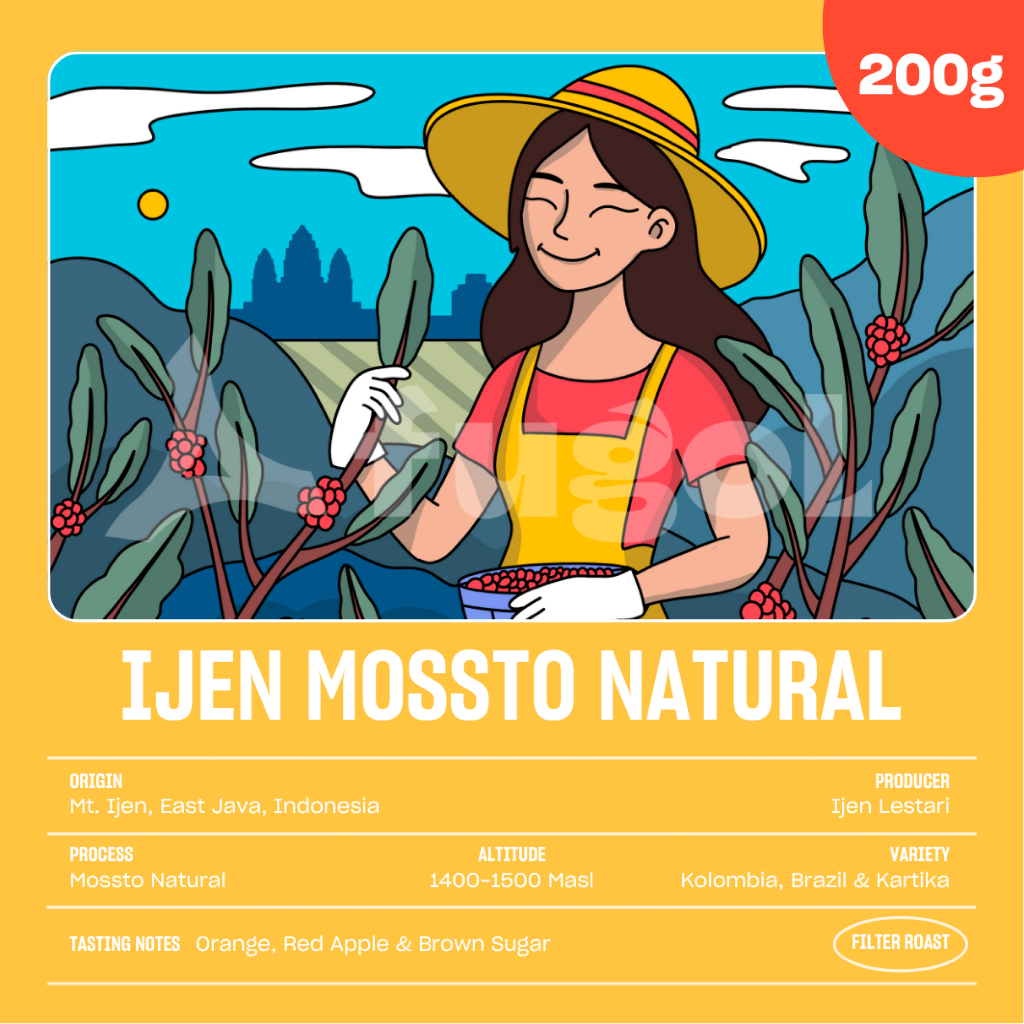 

Biji Kopi Arabika IJEN MOSSTO NATURAL (200 gram) Single Origin