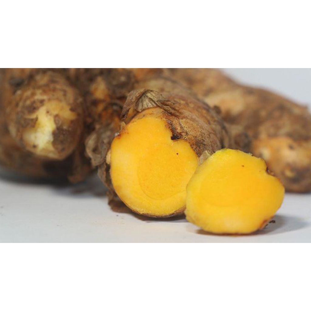 

temulawak koneng gede 500grm