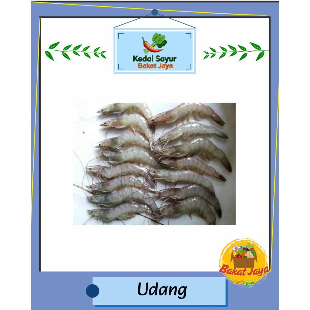 

Udang Segar