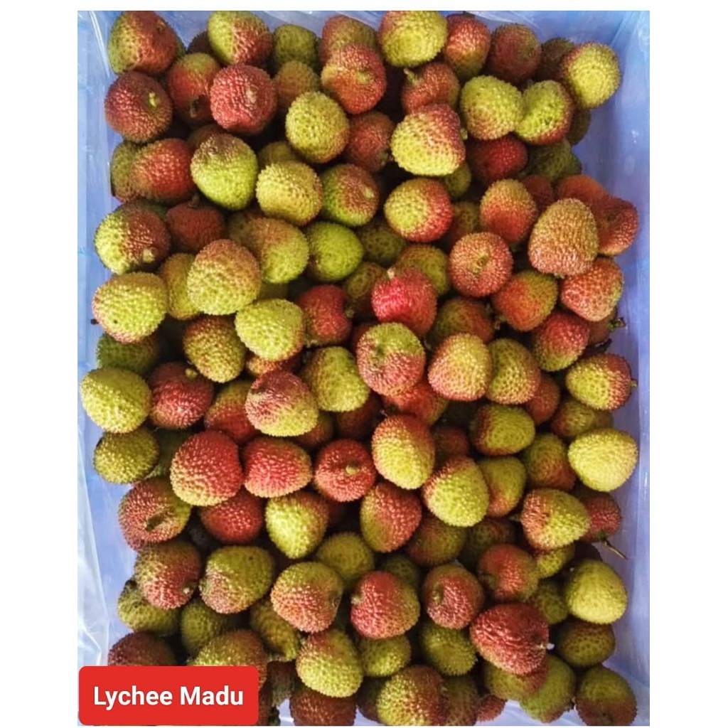 

Lychee Madu garansi manis