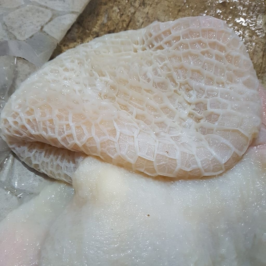 

Babat sapi bersih / babat putih 1000gr