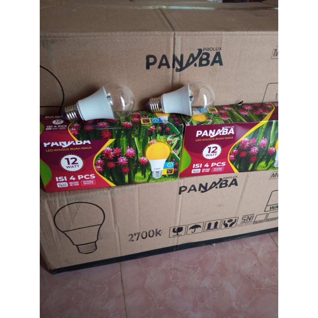 lampu panaba 12 Watt bening (sepaket isi 10 lampu/10 balon