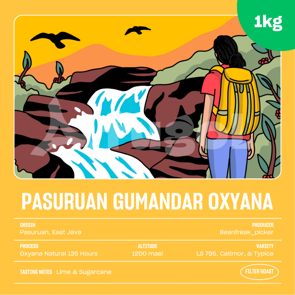 

Biji Kopi Arabika Pasuruan Gumandar Anahita Oxyana Natural (1 KG) Specialty Coffee