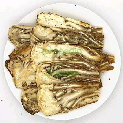 

Dang Gui Pian Tong Kui Angelica Root Tang Kui import