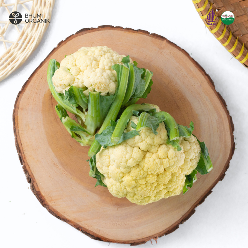 

Kembang Kol Organik 500 gram - Ceritanik / Bhumi Organik - Cauliflower Organic - Sayur Organik Murah - Sayur Organik Sehat - Sayur Organik Premium