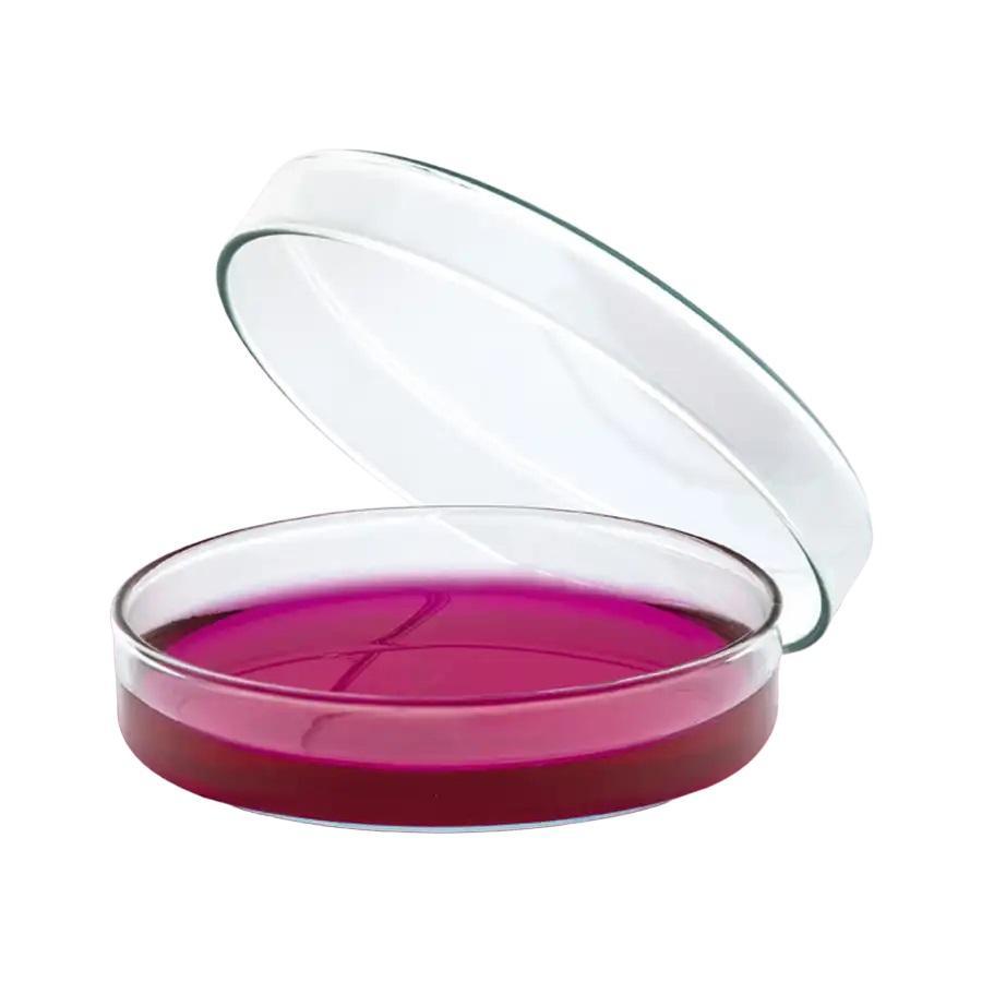 ISOLAB PETRI DISH 120 X 20 MM | CAWAN PETRI | PETRI DISH 081.01.120 pack of 18