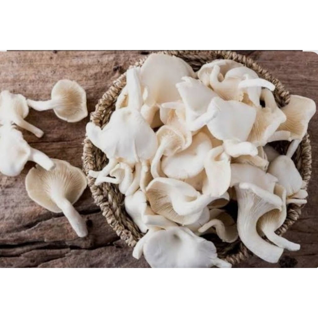 

PARAMIFARM jamur tiram organik 1kg