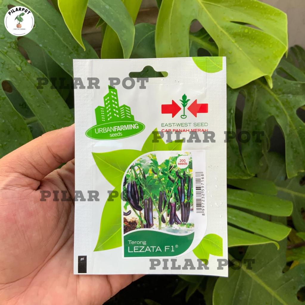 Liceriashop17 Benih Bibit Terong Ungu Panjang Lezata F1 Cap Panah Merah - Terong Panjang Lezata F1