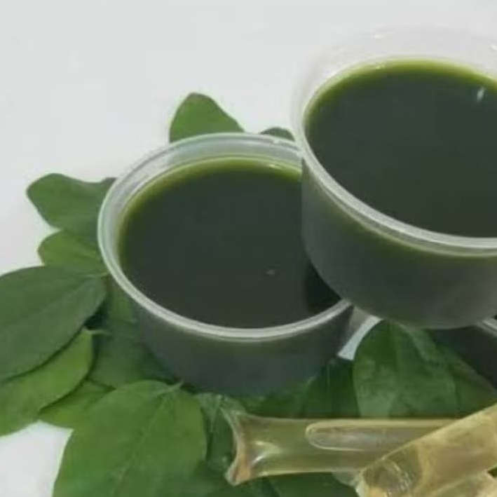 

1Pcs DAUN Cincau Jelly (Non Bulu) / Segar (Fresh) Baru petik