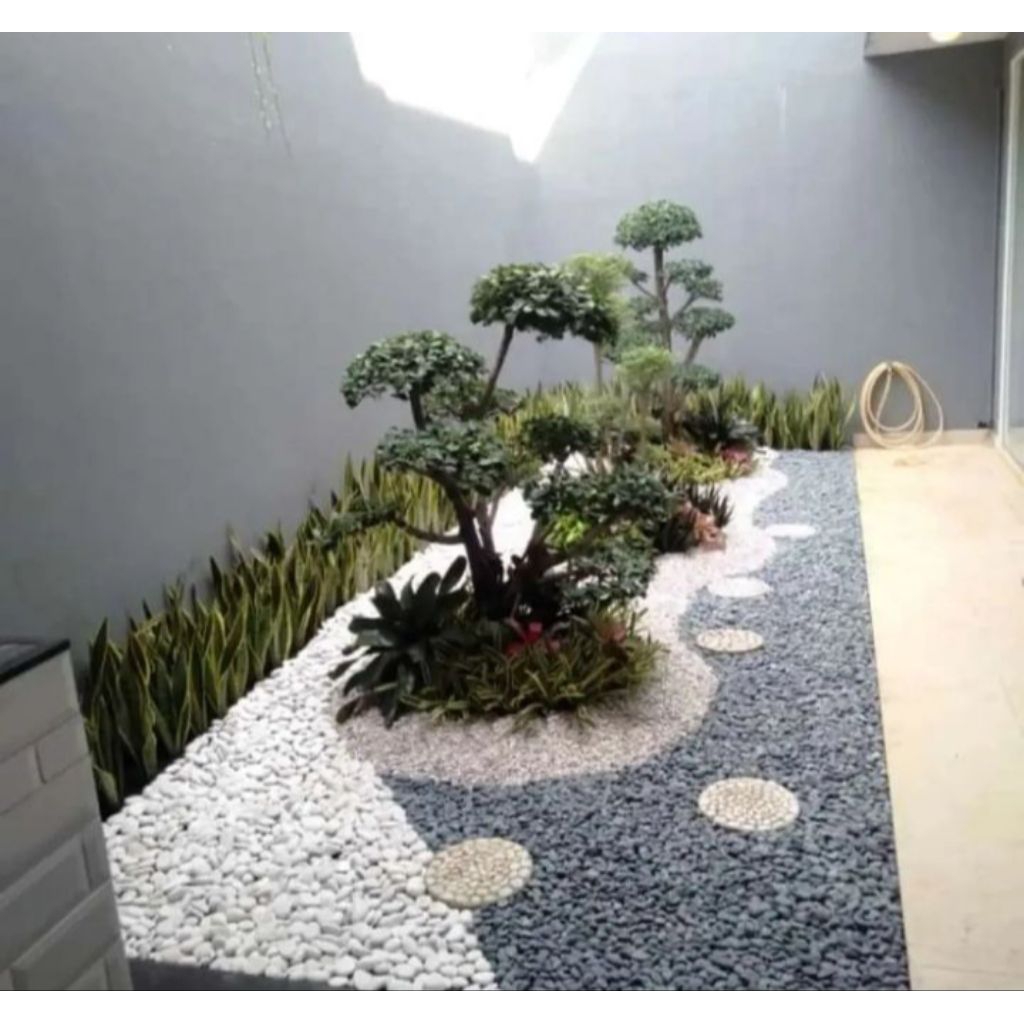 jasa pasang taman kering