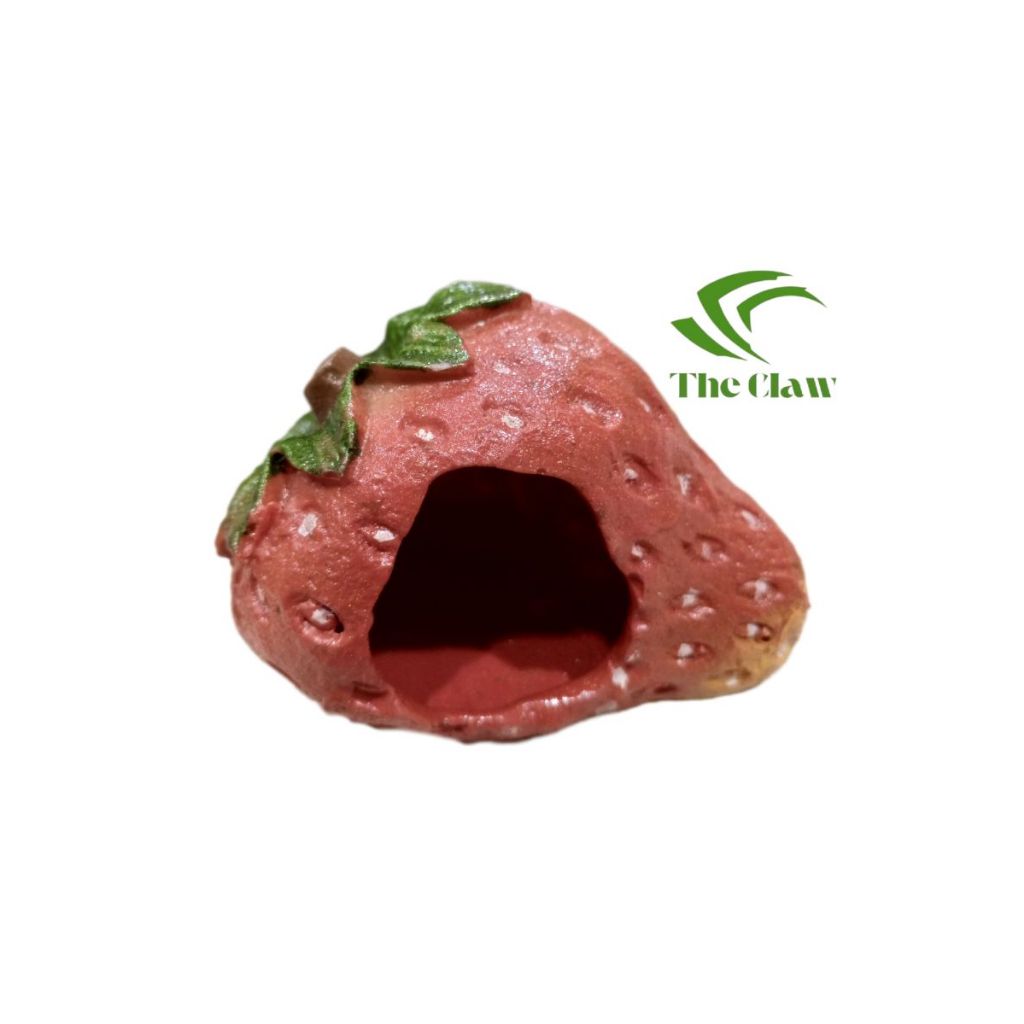 (The Claw) strawberry / hiasan fiber strawberry / rumah hamster / hideout hamster / kandang hamster