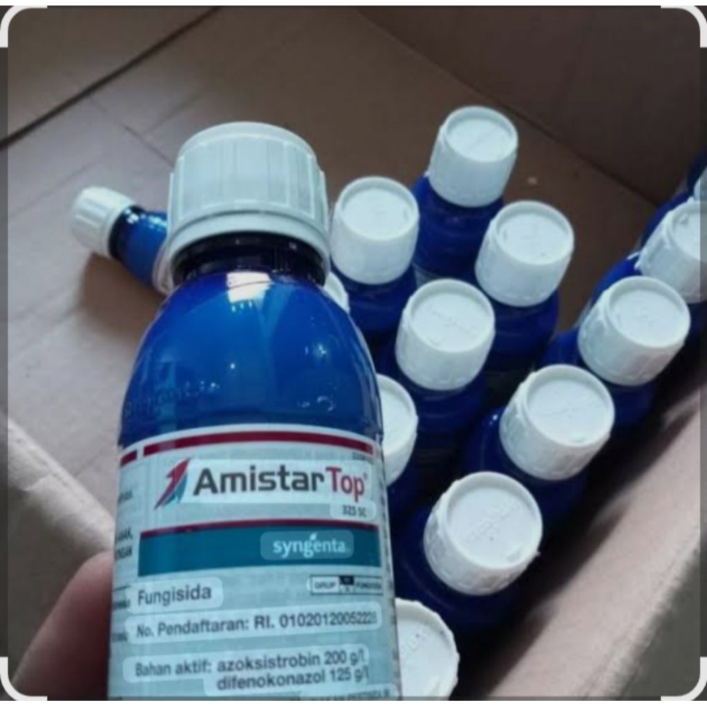 amistar top 325sc 250ml
