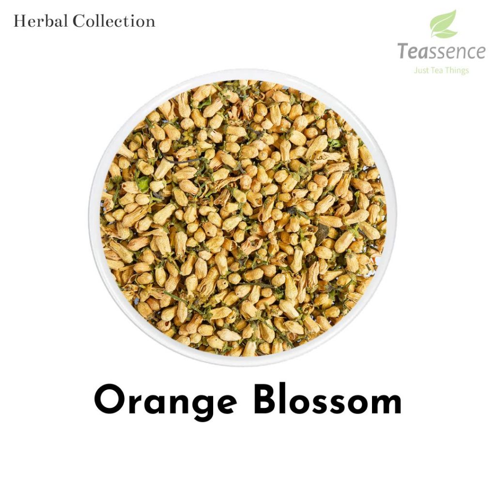 

Orange Blossom Dried Flower Tea / Kuncup Bunga Jeruk Kering Premium 100g/250g/500g