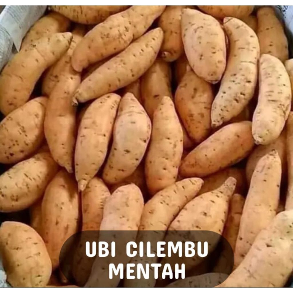 

Ubi cilembu madu manis legit 1kg ukuran TO kecil cocok untung di kukus pekingan aman menggunakan Dus