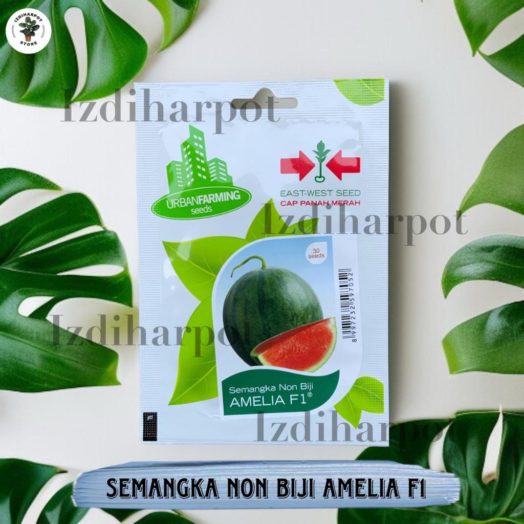 Benih Bibit Semangka Merah Non Biji Amelia F1 Cap Panah Merah - SEMANGKA AMELIA F1 EAST WEST SEED