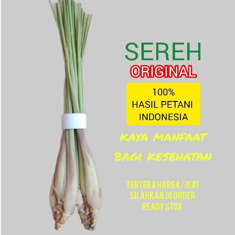 

sereh / serai harga/ikat