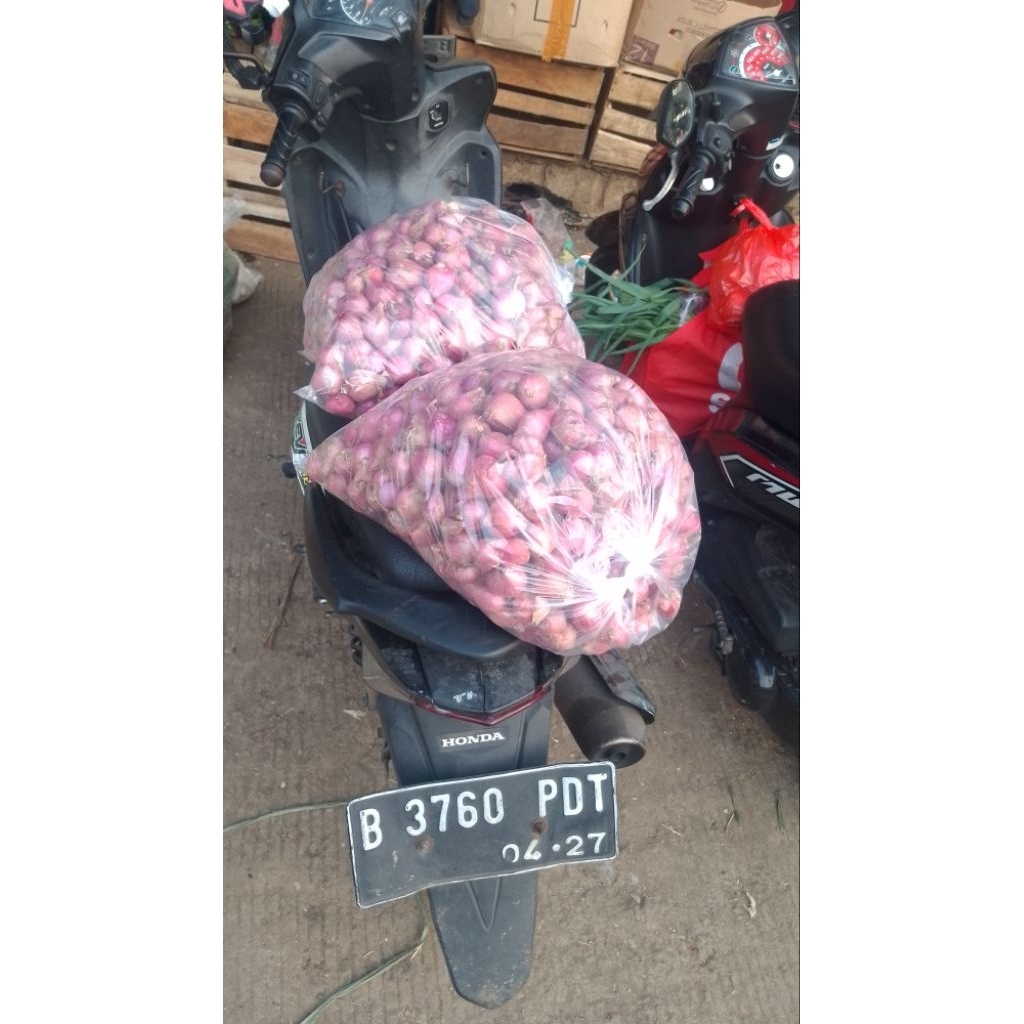 

bawang merah Brebes