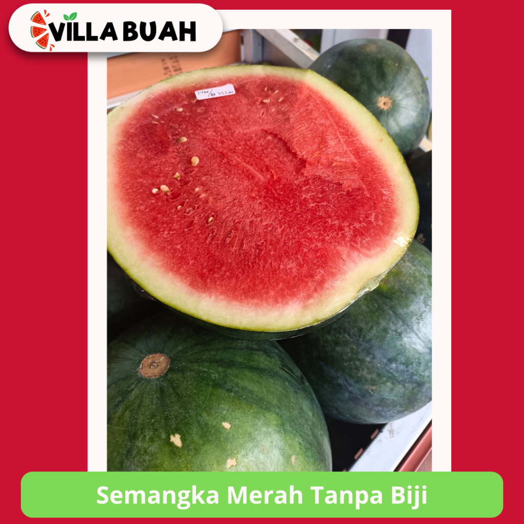 

Semangka Merah