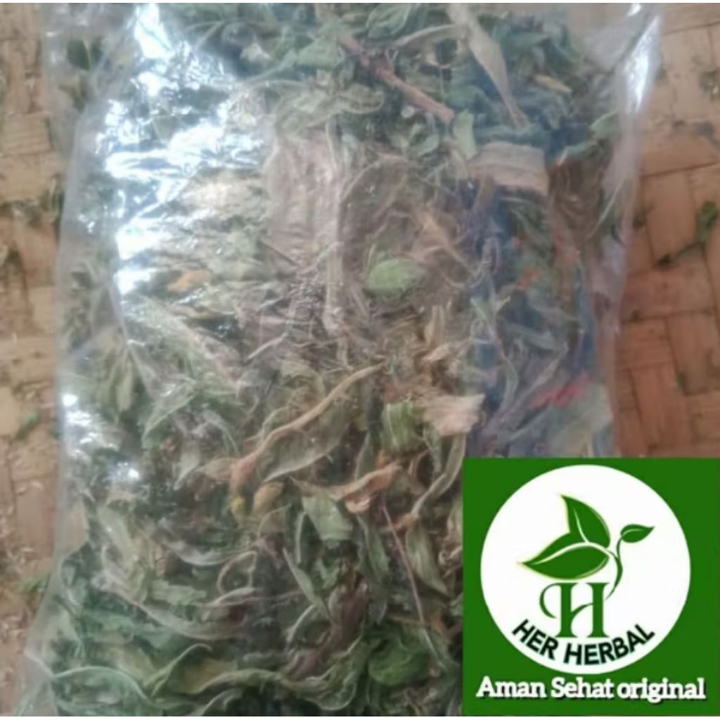 

Daun kitolod kering 1kg