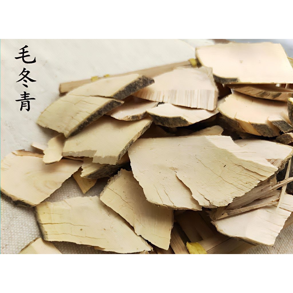 

Mao Dong Qing/ 毛冬青/ Radix Ilicis Pubescentis