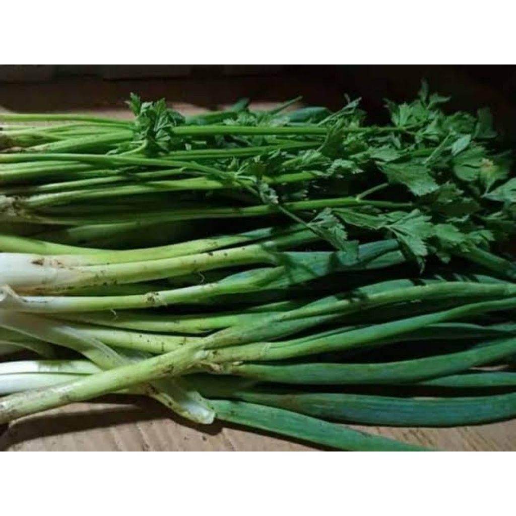 

Daun Bawang dan Seledri