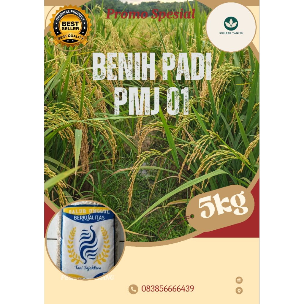 BENIH PADI PMJ 01 BERKUALITAS 5KG