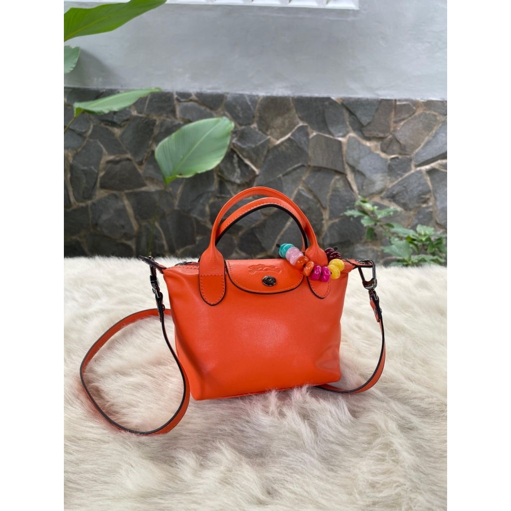 tas longchamp xs