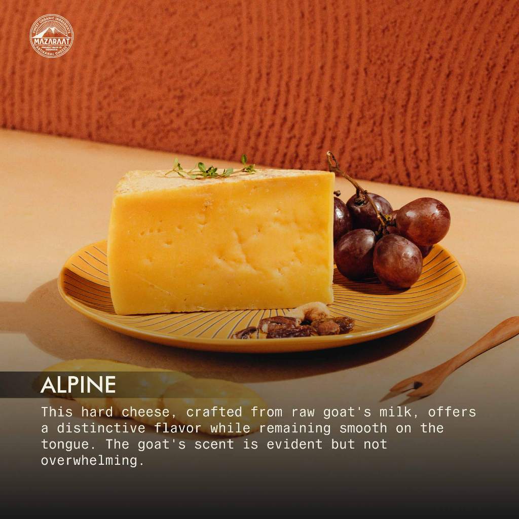 

Keju Alpine Mazaraat Cheese