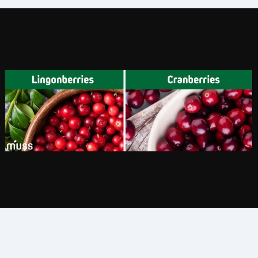 

Frozen cranberry/cranberries 500 Gr