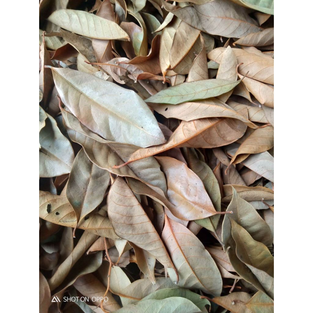 

Herbal Daun Pala Kering Murni 500gr