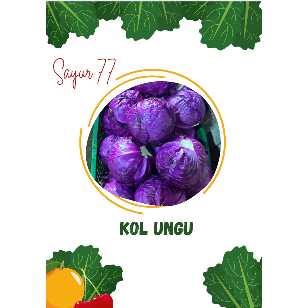 

KOL UNGU