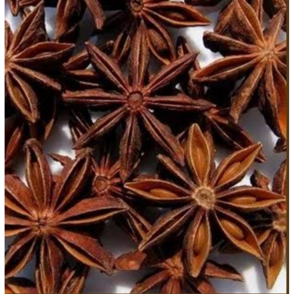 

Bunga Lawang / Pekak 100 Gram Pilihan Hemat