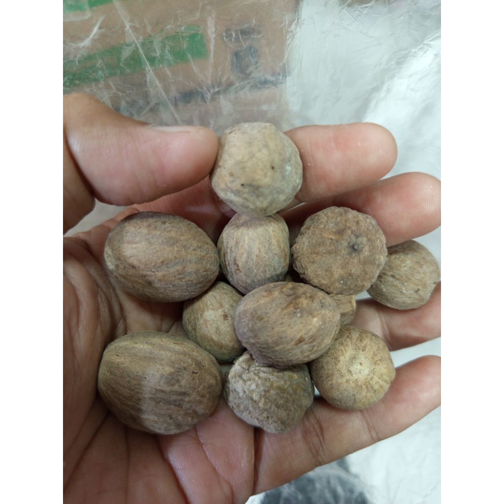 

Biji Pala Bulat Kering