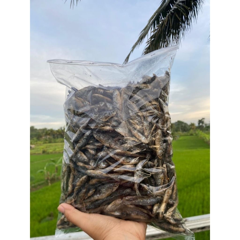 

IKAN BILIH 1kg