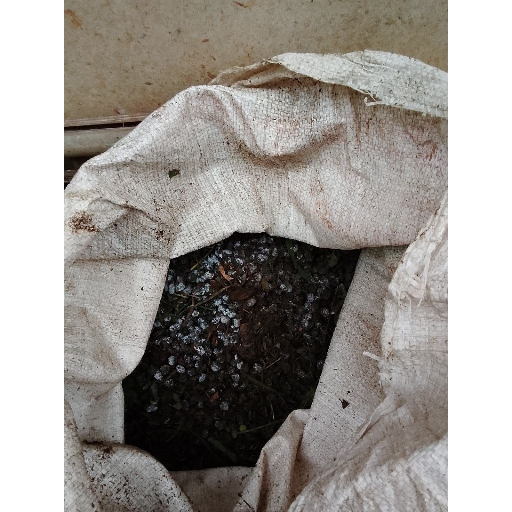 Pupuk Kotoran Kelinci Murni 1kg