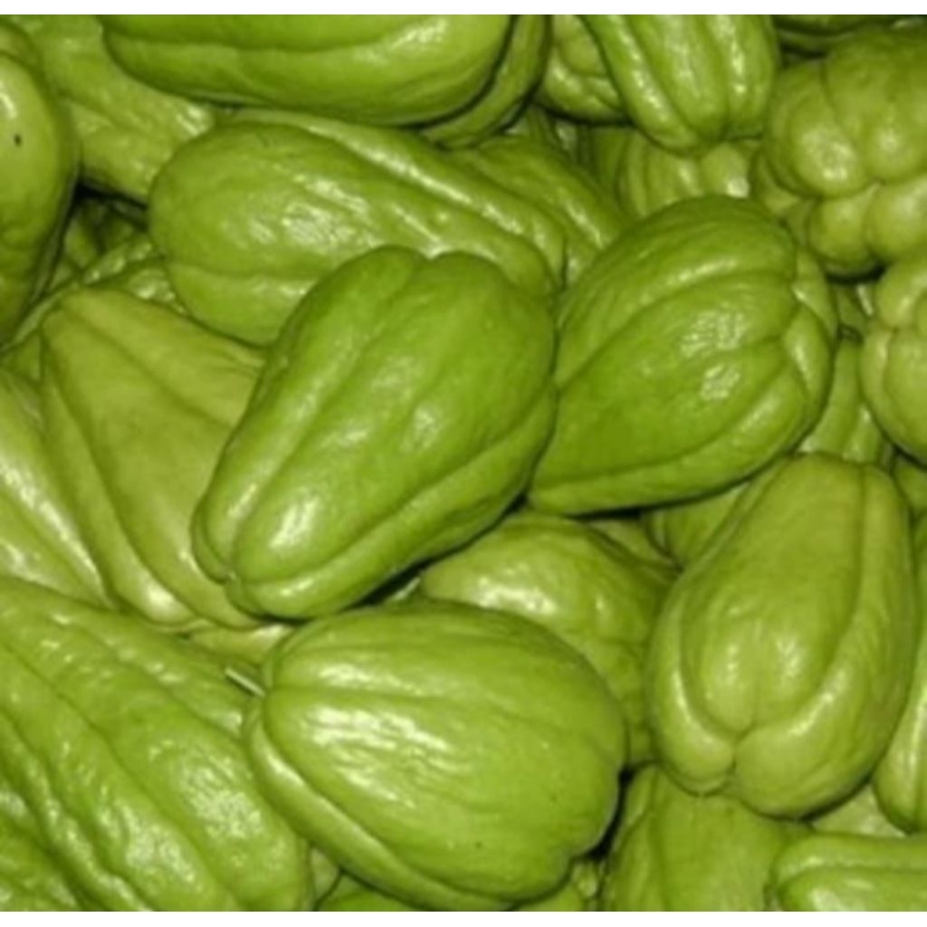 

Labu Siam Fresh 500gr