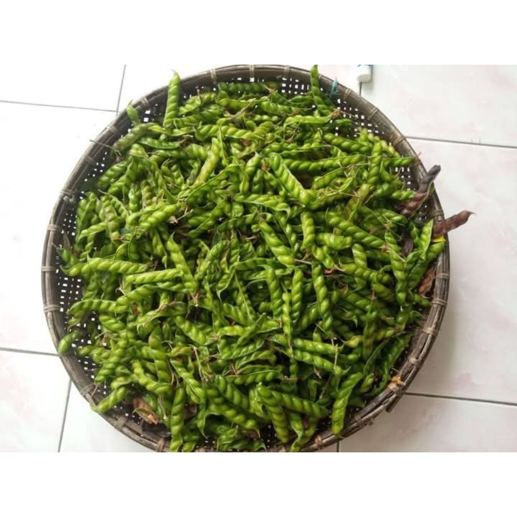 

termurah sayur kacang hiris 150 gram