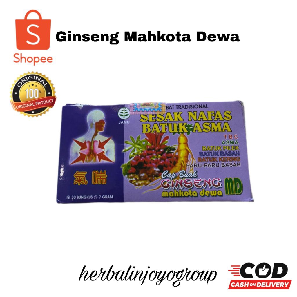 ginseng mahkota dewa ungu