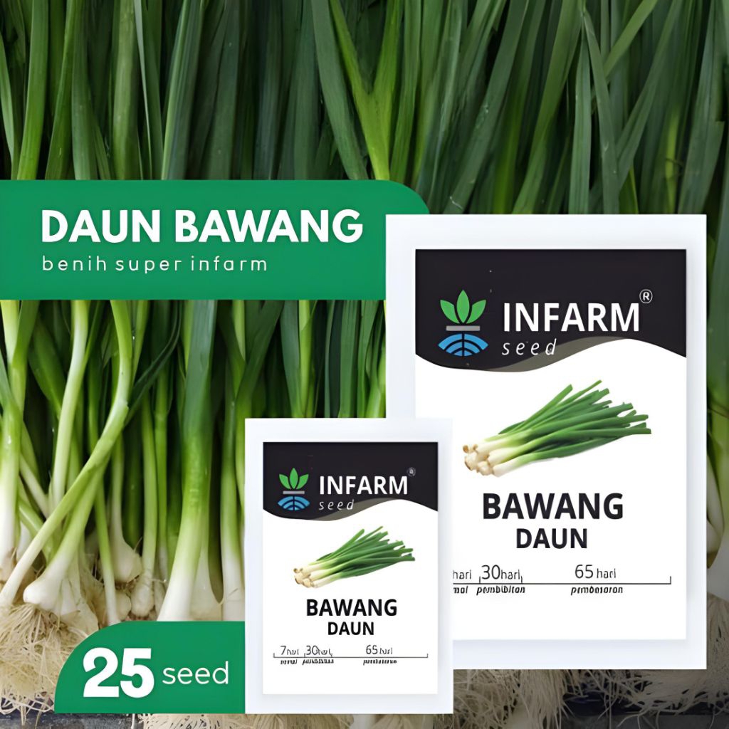 

BENIH DAUN BAWANG BERKWALITAS