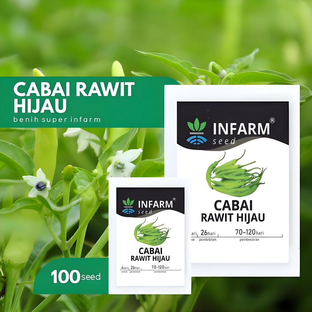 

BENIH CABAI RAWIT HIJAU BERKWALITAS