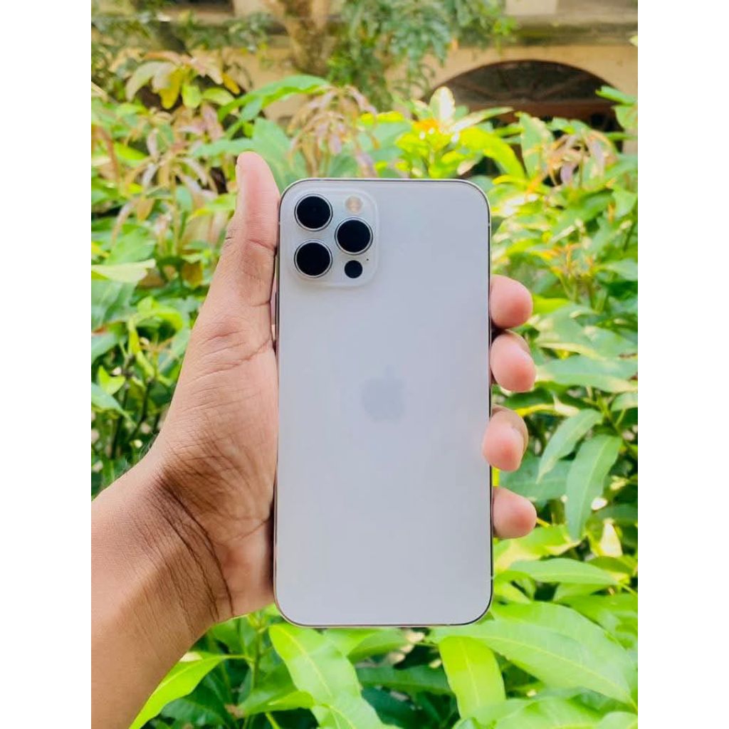Ip 12 pro 256GB used second fullset 100% original inter all fungsi aman IP 12 pro