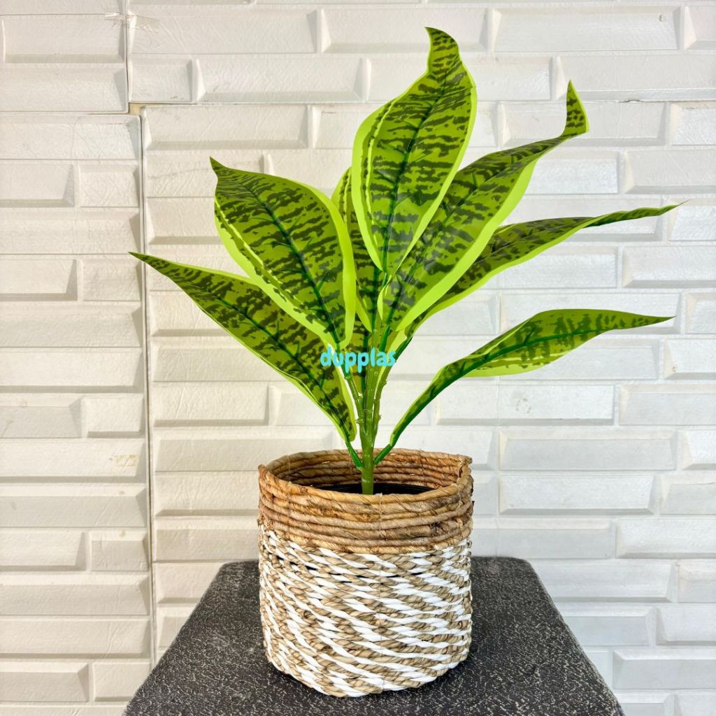 Pohon Plastik Tanaman Artificial Lidah Mertua Hijau X9 Semilatex Cover Pot Seagrass Coklat Mini Deko