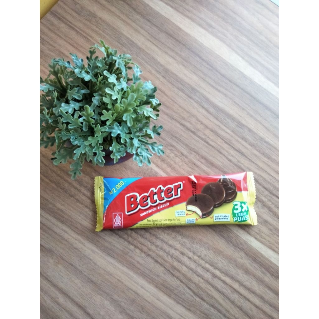 

better sandwich coklat 30g